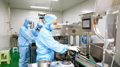 渭南市科技創新結碩果 51項新產品入選省重點，信息技術咨詢迎利好